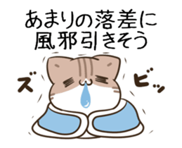 732809258