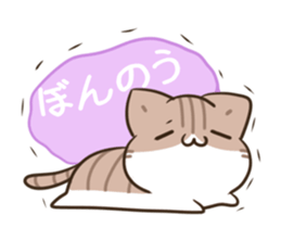 732809268