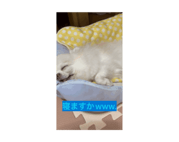 732820249