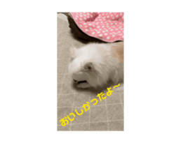 732820251
