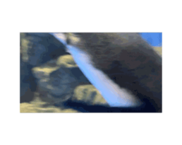 732820337