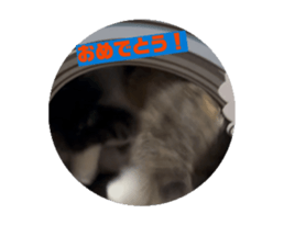 732820606