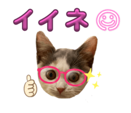 732824185