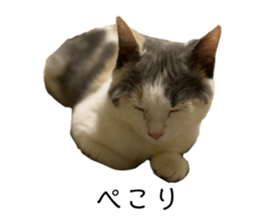 732824207