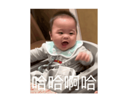 732826291