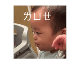 732826293