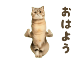 732827750