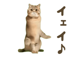 732827753
