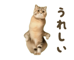 732827754