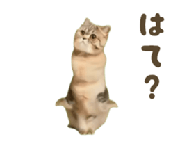 732827757
