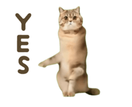732827758