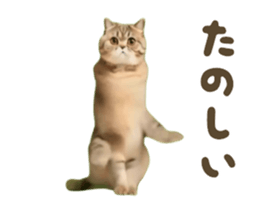732827759