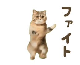 732827760