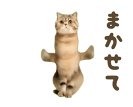732827762