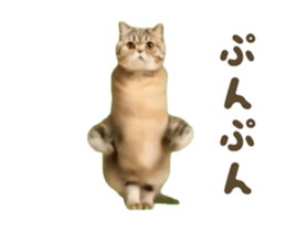 732827764