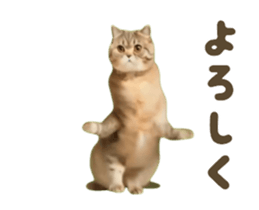 732827766