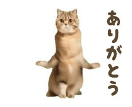 732827767