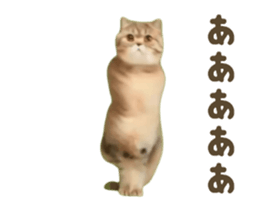 732827768