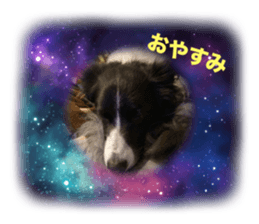 732836050