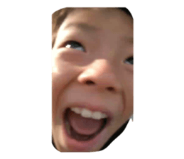 732836166