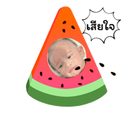 732837591