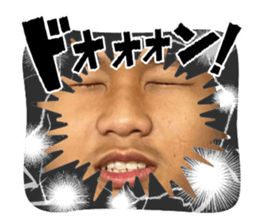 732846662
