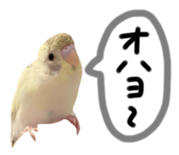 732853793