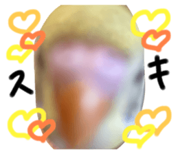 732853798