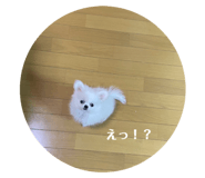 732854292