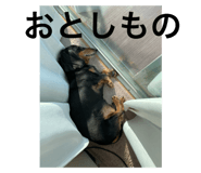 732860712