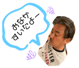 732862253