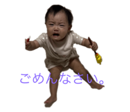 732862384