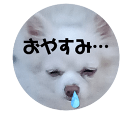 732886012