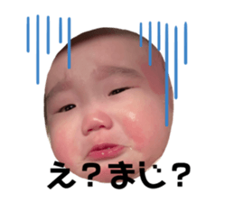 732887819