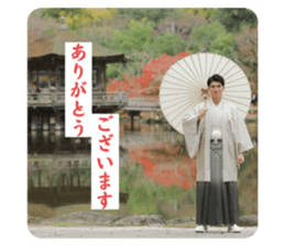 732888166