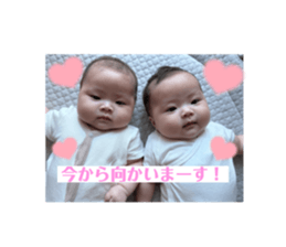 732913440