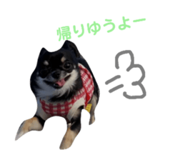 732937444