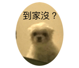 732948910