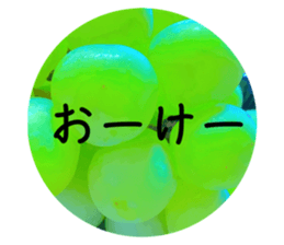 732979841