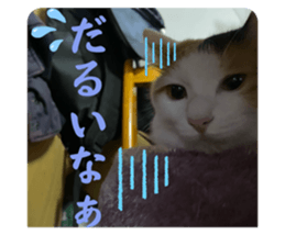 732979842
