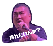 732980394