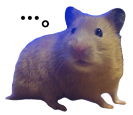 733000169