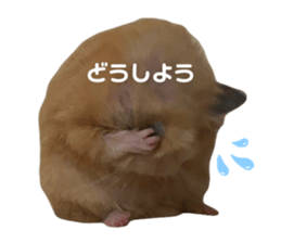 733000175