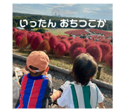 733000684