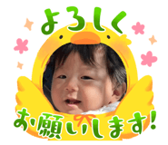 733008814