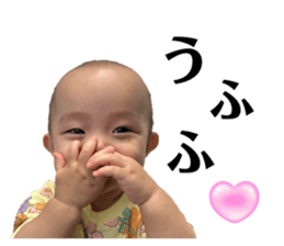 733009645