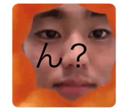 733016529