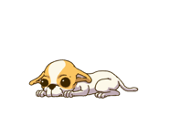 733052763