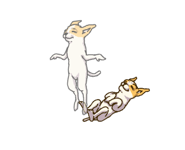 733052764