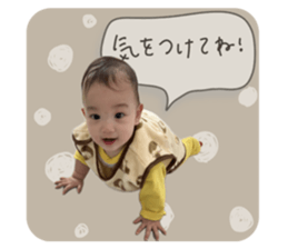 733066647